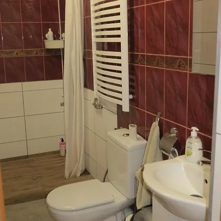 شقة فندقية Airspot Balice Cholerzyn